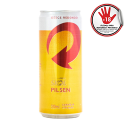 Cerveja Skol Lata 310Ml